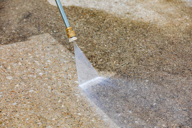 Best Animal Enclosure Cleaning  in Pearland, TX