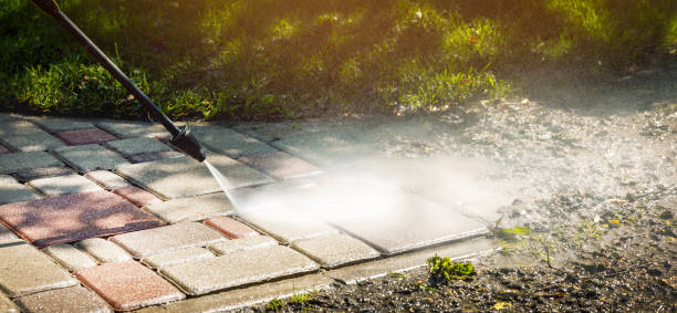Best Sidewalk and Walkway Cleaning  in Pearland, TX