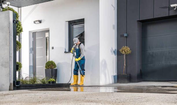 Best Driveway Pressure Washing  in Pearland, TX